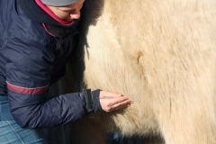 Akupunktmassage bei frostigen Temperaturen